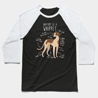 Whippet Dog Anatomy Baseball T-Shirt